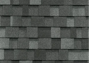 Teja Shingle Cambridge Harvard Slate
