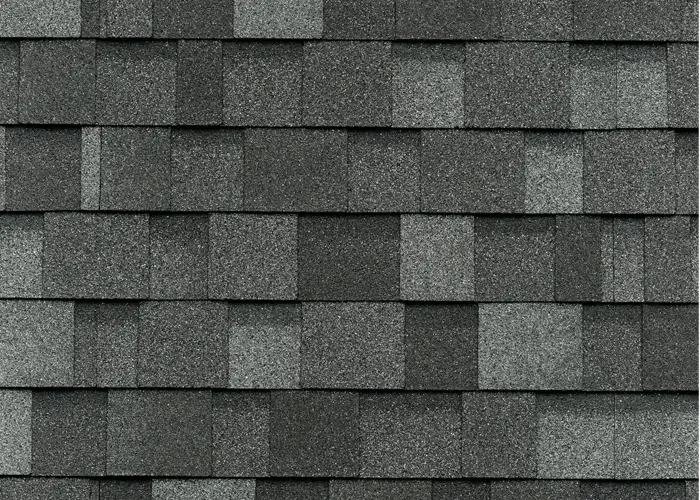 Teja Shingle Cambridge Harvard Slate