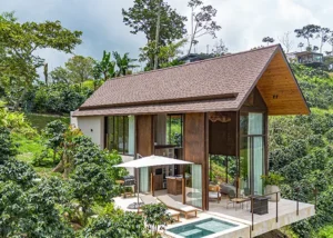 Teja Shingle Dual Brown 04